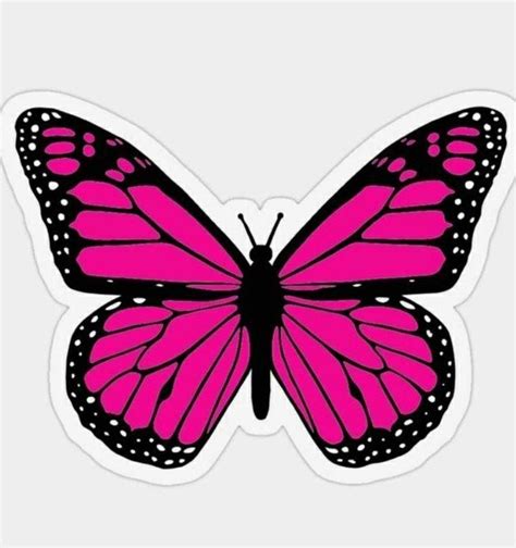 Pin By Edinho Souza On Butterfly Drawing Pink Butterfly