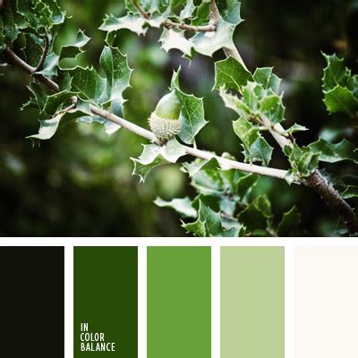 темно-зеленый и светло-зеленый | IN COLOR BALANCE