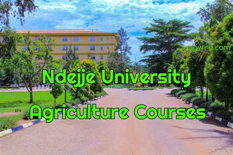 Ndejje University Agriculture Courses and Fees Structure - UGWIRE