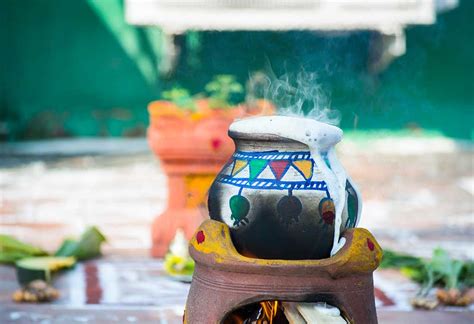 Pongal Oh Pongal Heres What You Should Know About This Four Day Tamil