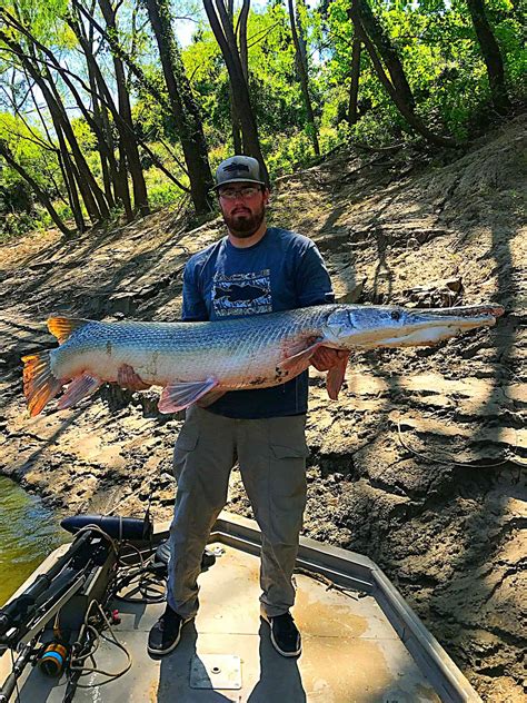 Alligator Gar Fishing TX Trips4Trade