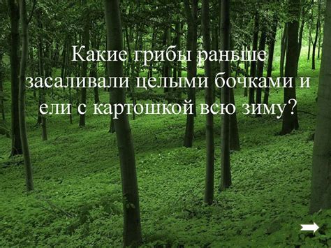 Своя игра «Лесные тайны» - презентация онлайн