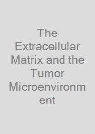 The Extracellular Matrix and the Tumor Microenvironment