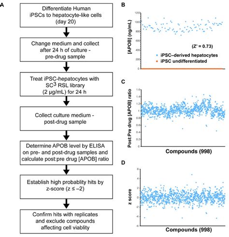 Small Molecule Screening Using Human Ipsc Derived Hepatocytes A