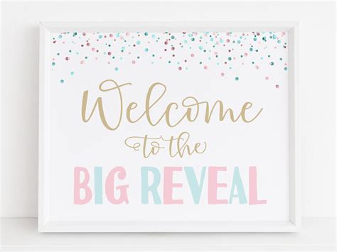 Gender Reveal Decorations Gender Reveal Party Signs Welcome Etsy