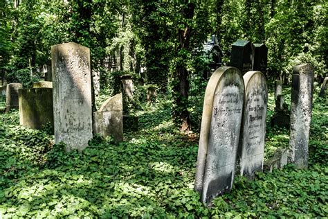 Judischer Friedhof Schönhauserallee Berlin Allemagne Nicolas