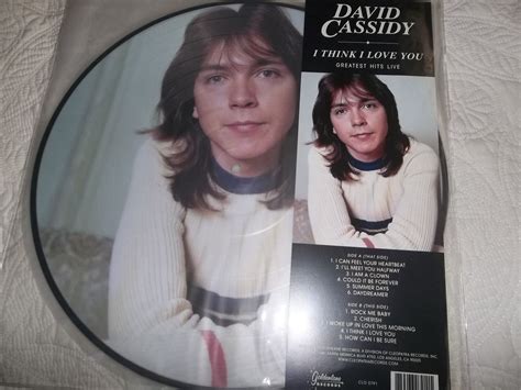 David Cassidy I Think I Love You Greatest Hits Live Picture Disc Vinyl [ne 889466079115 Ebay