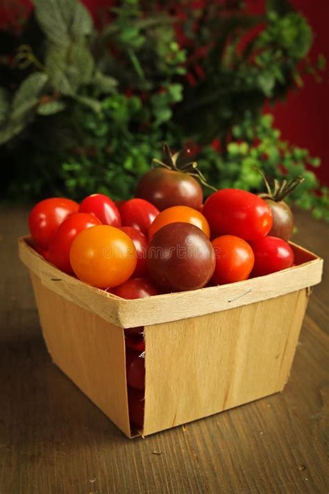 Cherry Tomato Stock Image Image Of Orange Lifestyle 37112641