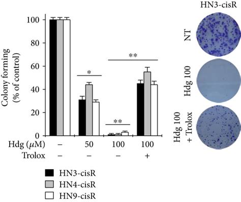 Hederagenin Induces Apoptotic Cell Death In Cisplatin Resistant Hnc