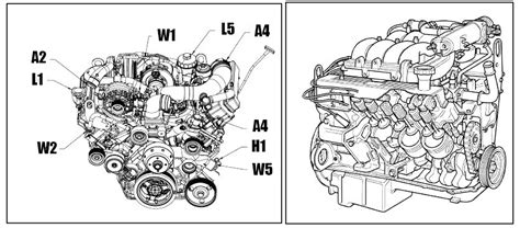 Chevrolet And Trucks 350 Engine Diagram Car Anatomy