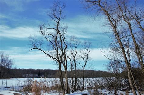 Winter Lake Scene Snow Covered - Free photo on Pixabay - Pixabay