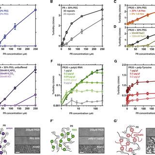 Molecular Determinants of PR 20 Phase Separation (A) PR 20 LLPS is ...
