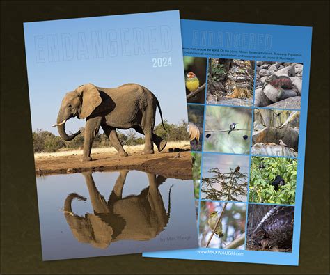 Nature And Wildlife Calendars Are Here Max Waugh