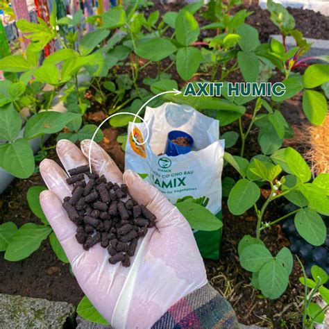 Axit Humic là gì Thành phần vàng trong phân hữu cơ