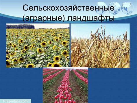 Культурные ландшафты. 6 класс - online presentation