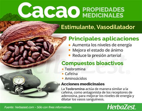 Que Es El Cacao Y Cu Les Son Sus Propiedades Confiter Ahernando