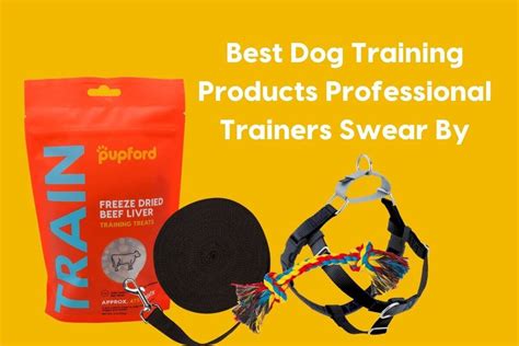 7 Best Dog Training Products Professional Trainers Swear By