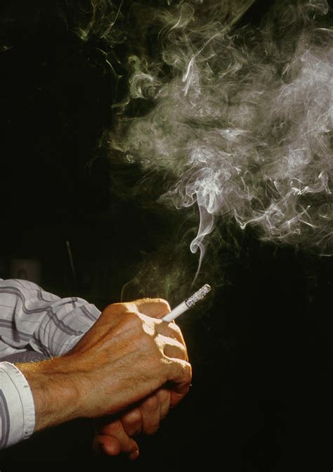 Hand Holding A Smoking Cigarette Photograph by Jim Varney/science Photo ...