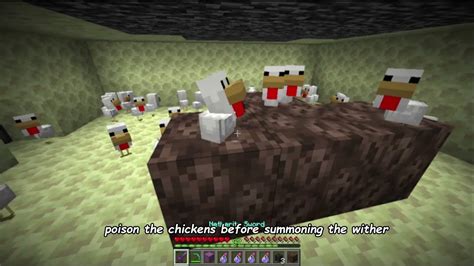 Chickens Wither Rose Easy Wither Rose Farm YouTube