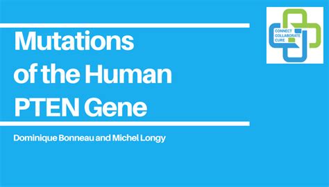 Mutations of the Human PTEN Gene - PTEN Foundation