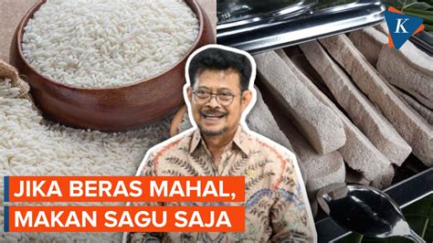 Berita Harian Jika Harga Beras Makin Mahal Makan Sagu Saja Terbaru Hari