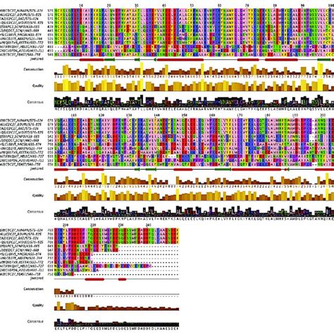 Multiple Sequence Alignment Of C Terminal Region APC3 Sequence