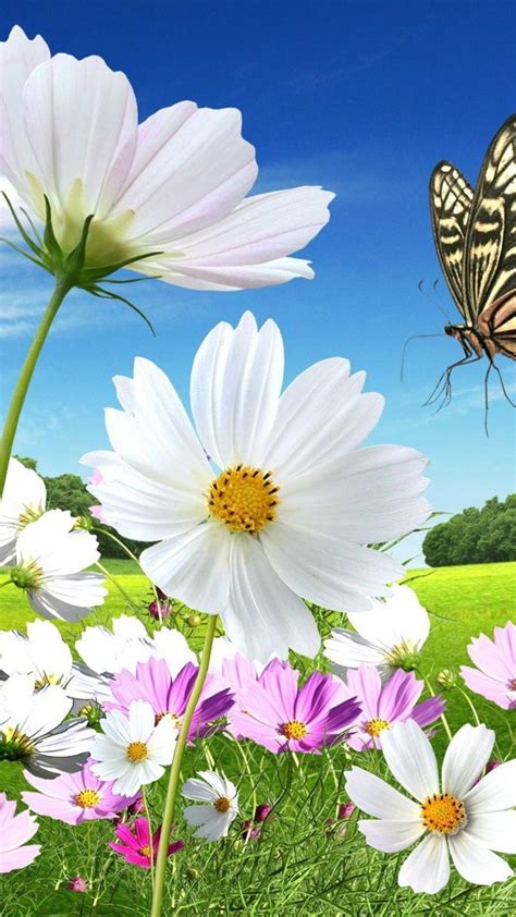 3gp Mobile Wallpapers - Wallpaper Cave