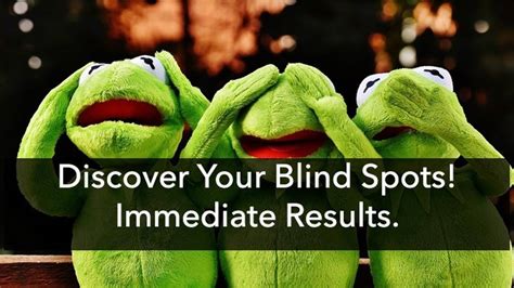 Blind Spot Assessment Blindspots Global Network