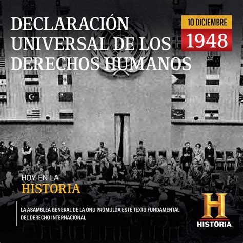 Lista 103 Foto Imagenes De La Declaracion Universal De Los Derechos Humanos El último