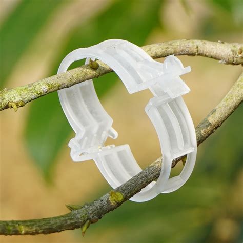 Tuteur Lien Attache Clips De Fixation En Plastique Pour Plantes De