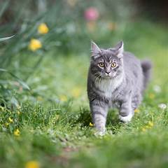 When Is Kat Timpf Baby Due Prepare For A Total Meltdown