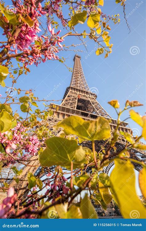 Eiffel Tower During Spring Time In Paris France Stock Image Image Of