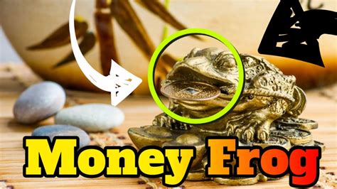 Feng Shui Money Frog How To Place Caring Feng Shui Money Frog Youtube