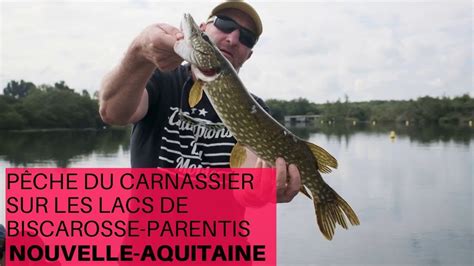 P Che Du Carnassier Sur Les Lacs De Biscarosse Parentis Youtube