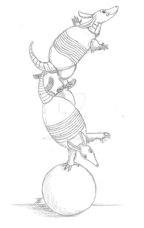 Zooly Challenge 07 02 17 Nine Banded Armadillo By Prezaurian On Deviantart