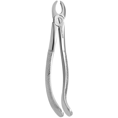 Tooth Forceps N 96 Coricama Since 1873