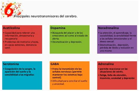 La Comida Altera Las Emociones Adelantos Digital