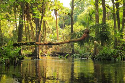 Loxahatchee River Preservation Initiative