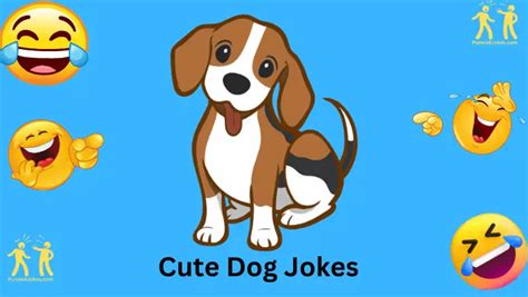 97+ Funny One-Liners About A Cute Dog