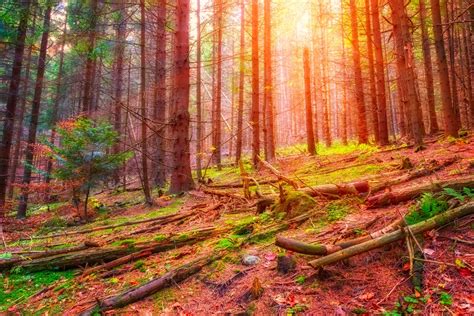 World Beautiful Nature Images Free