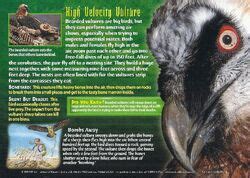Bearded Vulture | Weird n' Wild Creatures Wiki | Fandom