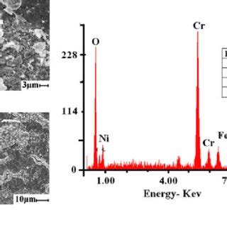 A C FE SEM Cross Section Micrographs With EDS Of Corroded Cr Co Al