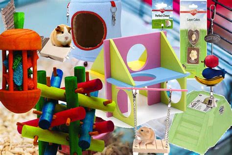 11 Inexpensive Hamster Toys That Your Hammy Will Love – Hamsters101.com