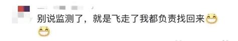 特适合i人？这份日薪300元包食宿的工作火了浙江省新浪科技新浪网