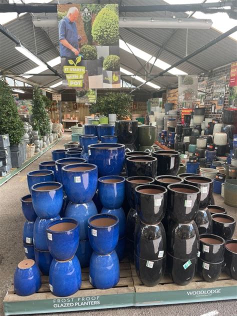 Pughs World Of Pots Pughs Garden Centres