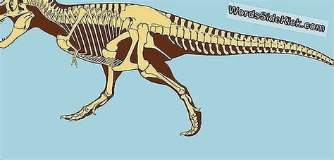 Tyrannosaurus Rex Fakten Ber T Rex K Nig Der Dinosaurier Tiere