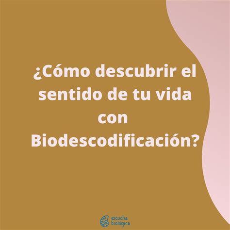 C Mo Encontrar El Sentido De La Vida Con Biodescodificaci N Escucha