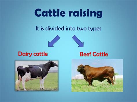 animal husbandry powerpoint    id