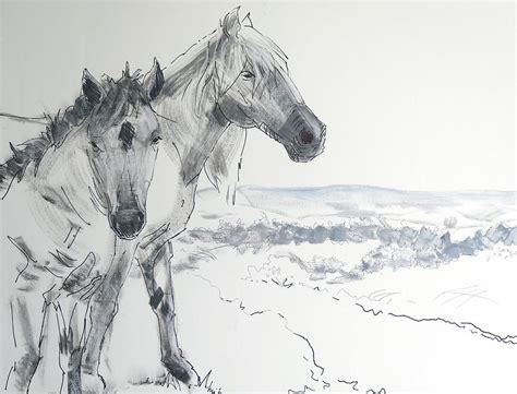 Wild Horse Sketch At Explore Collection Of Wild