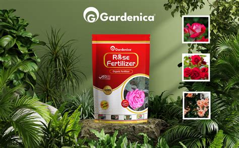 Gardenica Rose Fertilizer Gm Natural Organic Promotes